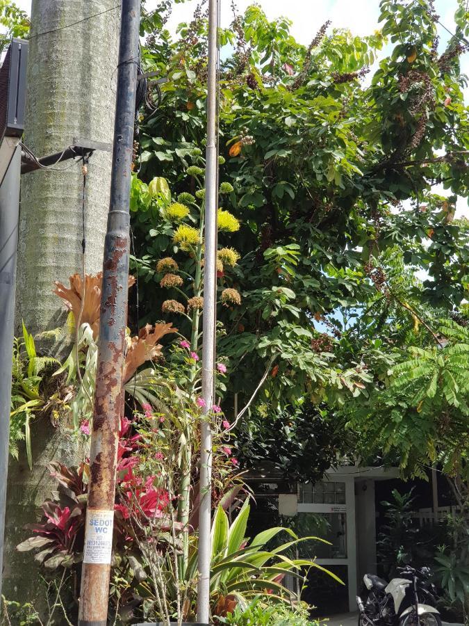 La Nostalgie Boutique Guest House Bandung Exterior foto